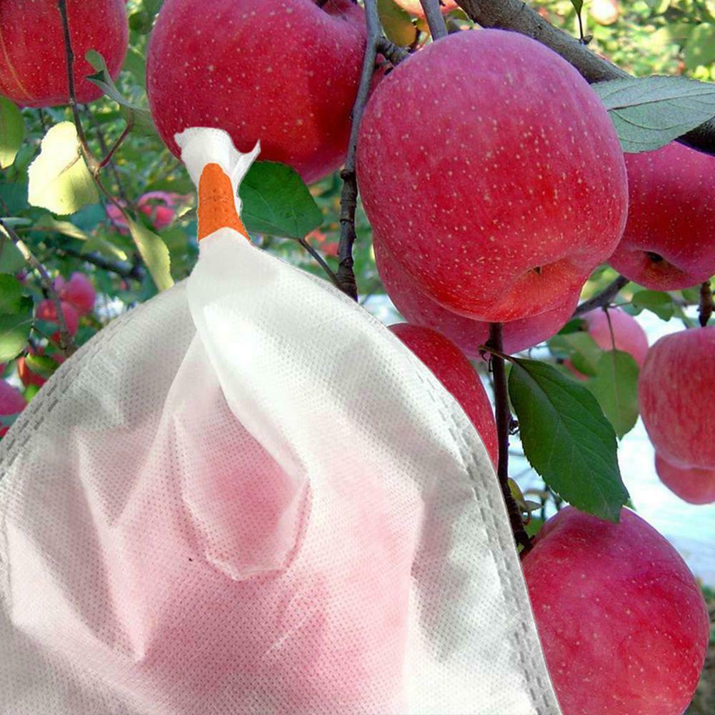 水果套袋專用PP無(wú)紡布，水果套袋專用PP無(wú)紡布的優(yōu)勢(shì)，水果套袋專用PP無(wú)紡布的好處，采購(gòu)水果套袋專用PP無(wú)紡布 